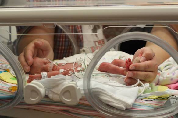 1557301_10152788036227353_9067837029076334493_o