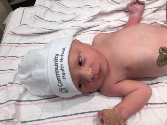 15826078_10154256857450172_1724135001547551269_n